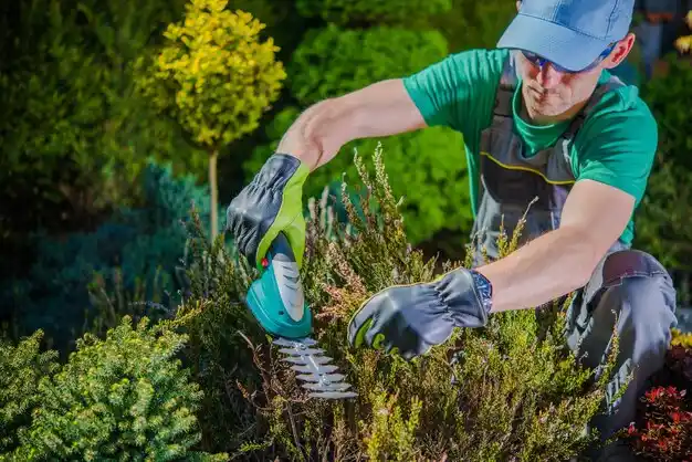 landscaping services Hillside